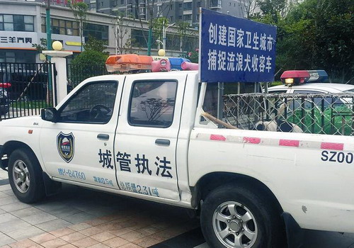 商洛市商州区出动车辆在街头捕捉流浪犬。