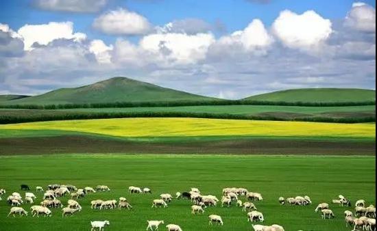 2017国土资源(西安)论坛