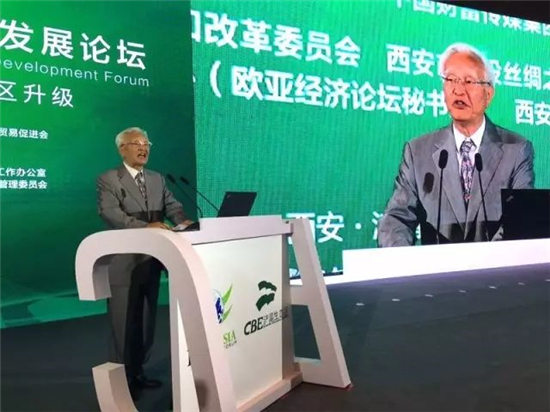 张国宝 中国国际经济交流中心副理事长、中国产业海外发展和规划协会会长、国家发改委原副主任、国家能源局原局长