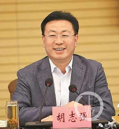 落马前的胡志强。 图源于网络