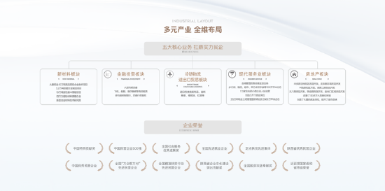 (图片:荣民集团布局简介)