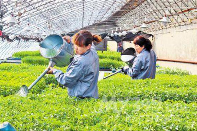 陕西:培育扶持新型职业农民 为乡村振兴提供人才支撑