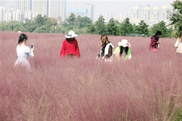网红草坪中奔跑拍照 市民:践踏花草而拍照,真不配!