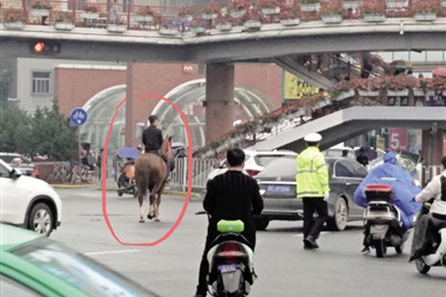小伙骑马西安街头闲逛 交警：造成堵塞可处罚