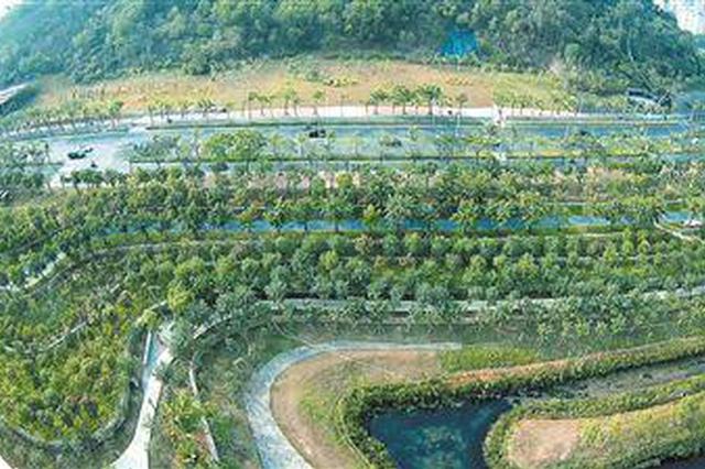 西安市鄠邑区：全区复绿工作已接近尾声