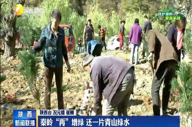 【保护秦岭 爱我家园】秦岭“再”增绿 还一片青山绿