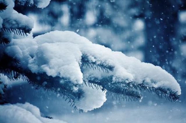 今日“小雪 ” 陕西全省晴好无雨雪 午后较舒适