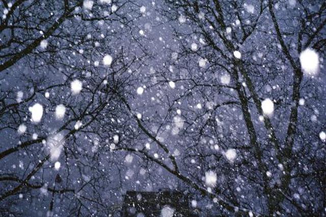 下雪了！西安迎今冬初雪 你遇到雪了吗？