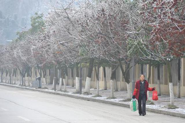 西安低温持续今天最低温-4℃ 13日前依旧冷冷冷