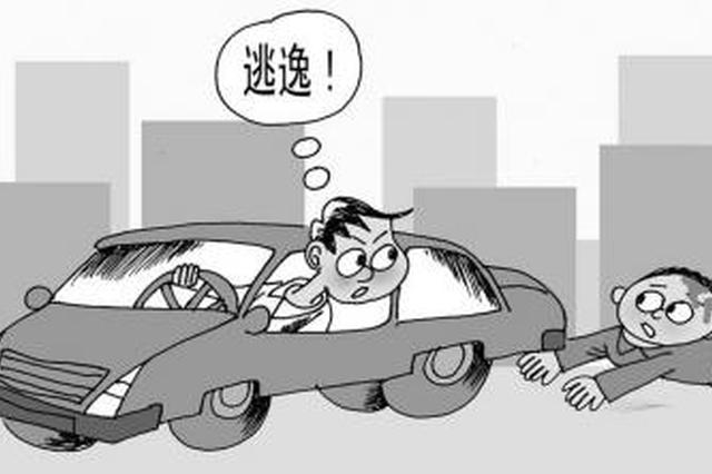 出租车肇事逃逸 交警9小时抓获嫌疑人