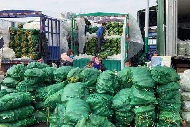 西安5家大型批发市场日蔬菜进货量8000吨 可满足群众消费需求