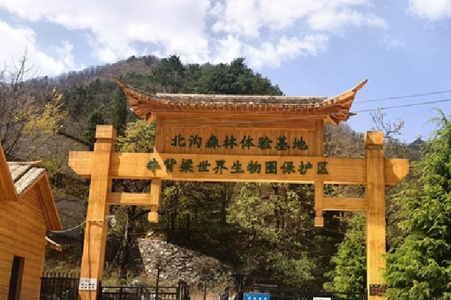 牛背梁自然保護區(qū)的秦嶺守綠人