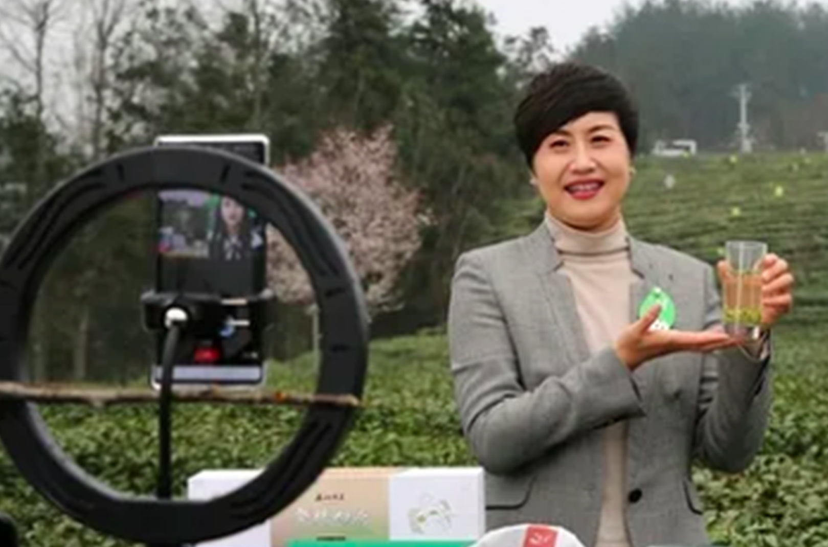 紫陽縣長推介紫陽富硒茶