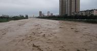 洪峰后渭河公园部分遭水淹