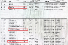 2025年12月28日李先生检查数据