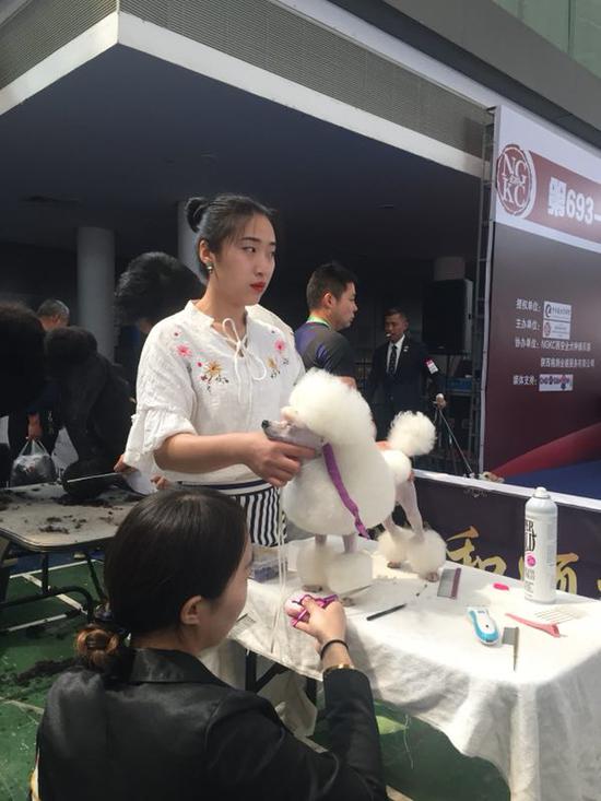 2018中国西安宠物展览会成功举办