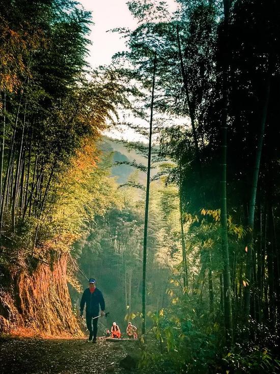 西安鲸鱼沟竹海风景区