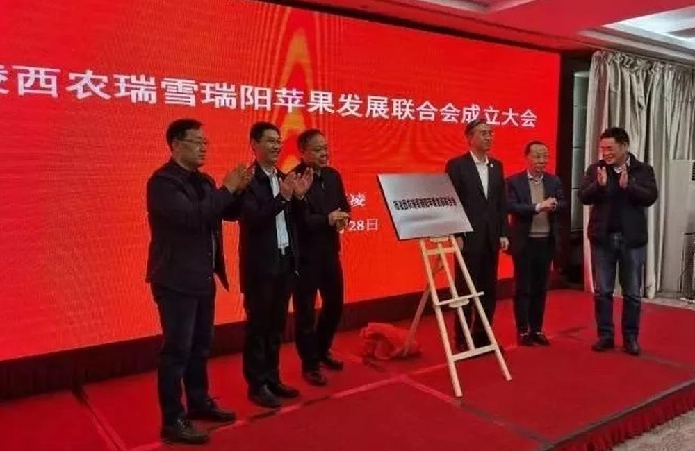 陜西省首個果業發展聯會在楊凌成立