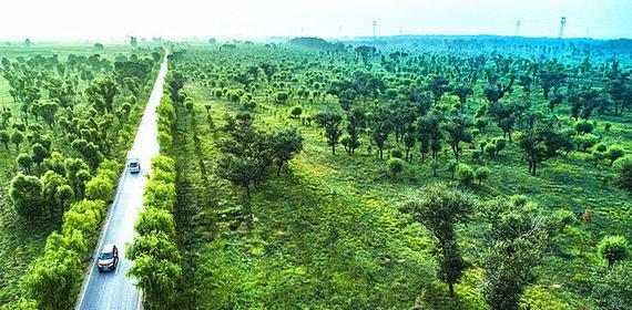 永和县雨林村有多人口_热带雨林(3)