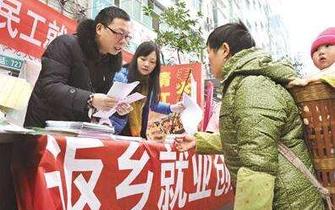 农村人口返乡政策_返乡政策