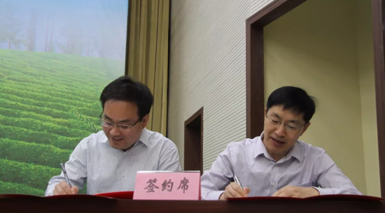 镇巴举办兴旺茶叶产业助力乡村振兴高峰论坛