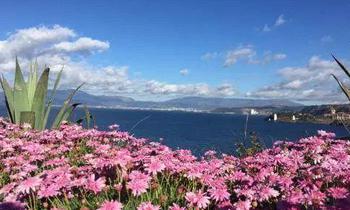 杨凌现人口_杨凌职业技术学院(2)