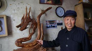 周至七旬老农爱根雕