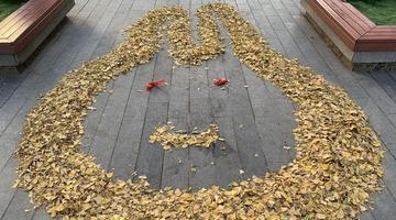厉害了！保洁员用落叶作画凹造型