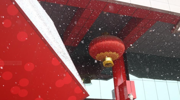 你等了一个冬天的鹅毛大雪到西安了