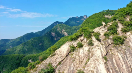 (图 王胜利)