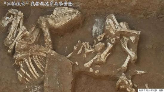 2018年凤翔境内两项考古发掘项目即将启动_宝