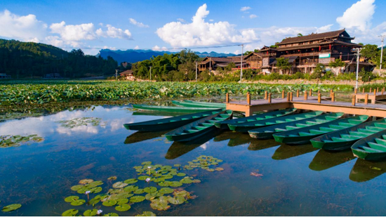 “荷”你有约——大田湿地人家