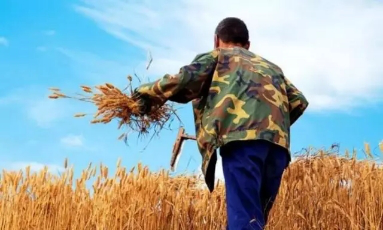 为乡村振兴提供有力产业支撑 -蓝田县扎实创建