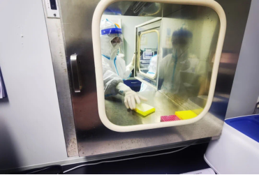 提取后的核酸将传递到核酸扩增分析室