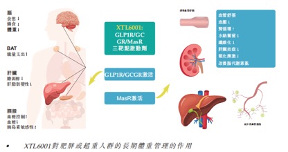图片来自麦科医药招股书
