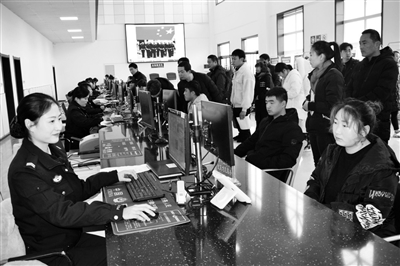 前去车管所挂牌的市民