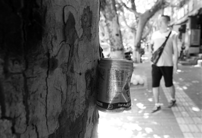 树上钉钉子挂着易拉罐 本报记者 代泽均摄