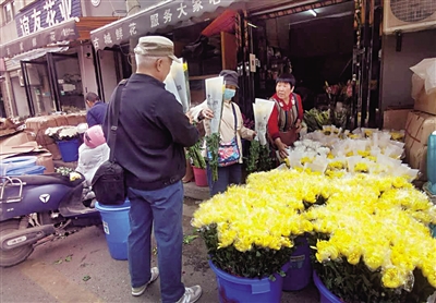 顾客在选购菊花