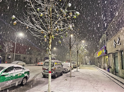 11月20日，延安市甘泉县迎来降雪。本报记者 代泽均 摄