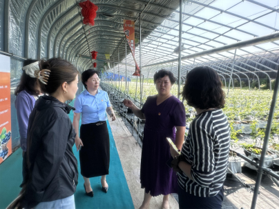 图：工作人员走访种植大棚，为乡村振兴路上的奋斗者增添安心保障
