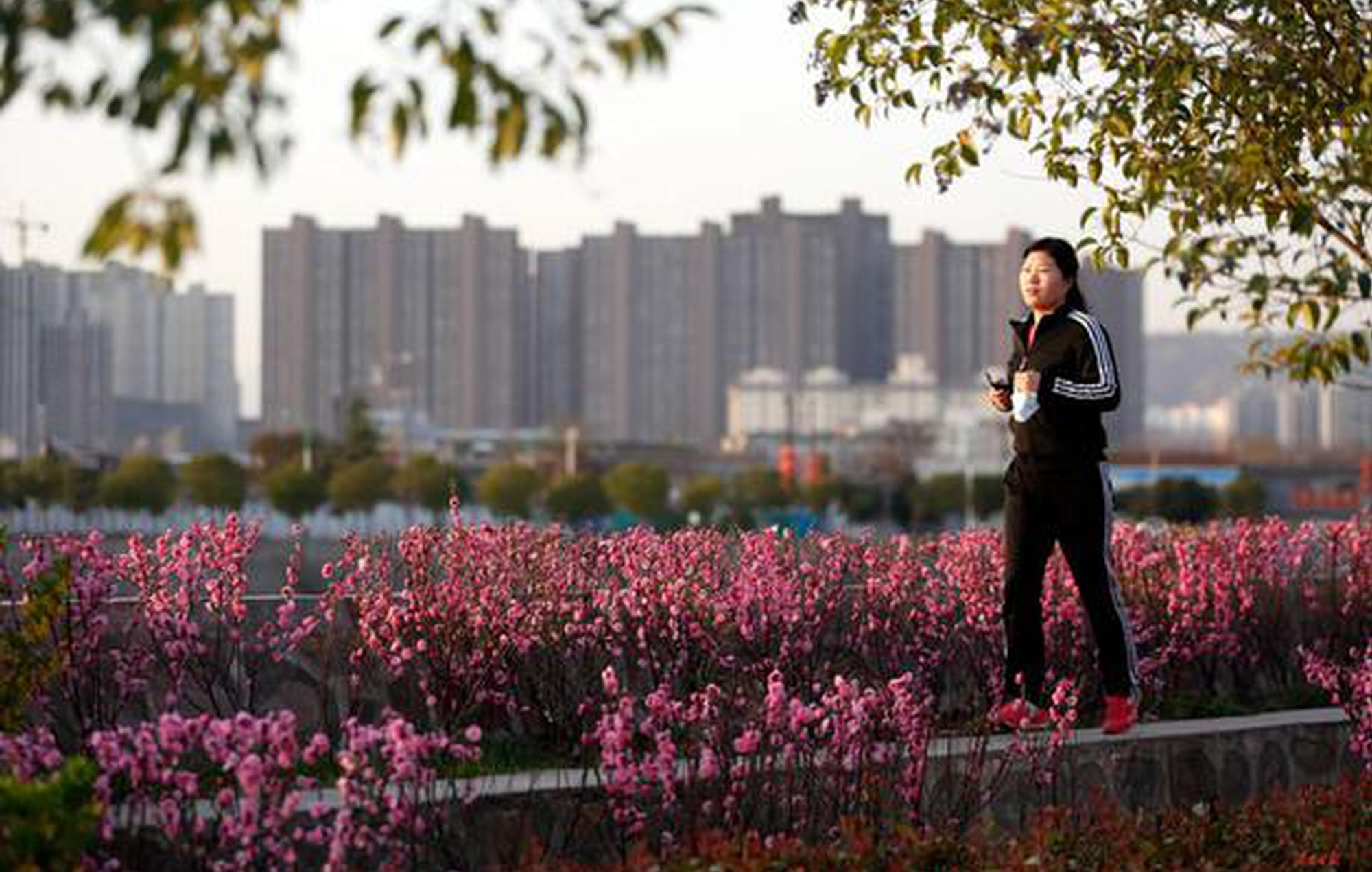 渭南：春分時(shí)節(jié)春意濃