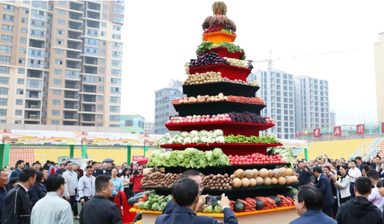 丹凤gdp_丹凤朝阳