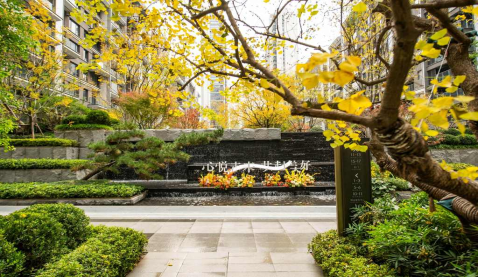 实拍图