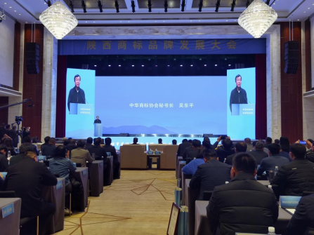 中华商标协会秘书长吴东平致辞
