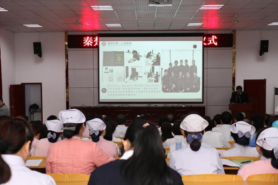 “秦楚絲路醫聯體”掛牌成立