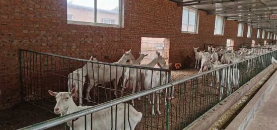 西安明德理工学排名_西安明德理工学院隆重召开2020级高职新生开学典礼(2)