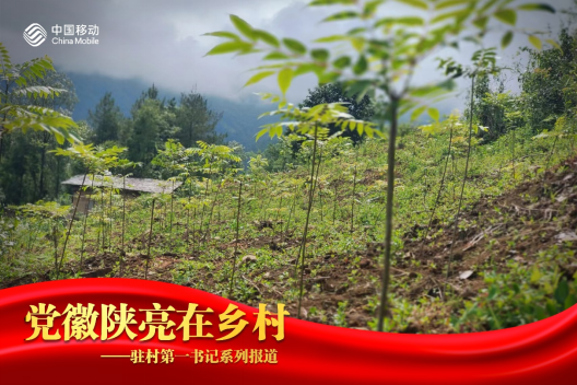 香椿产业园一角