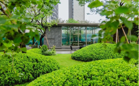 高新金茂悦园实景图