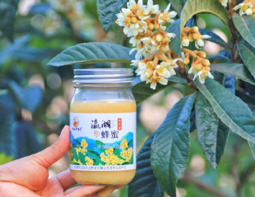 原产地探访好物 网络扶贫“陕耀”汉滨