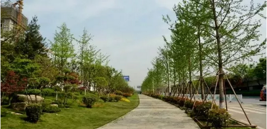 新筑立交出入口景观提升